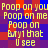 Pixelated yellow text on a blue and red checkered background repeats phrases like "Poop on you" and "Bryi that I see" in multiple