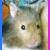 Four- shows hamster images with pink and blue borders; bottom-right displays vertical "CUTE" text in pink