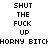 Pixelated text displays 'SHUT THE FUCK UP' repeated across with purple highlights on specific words, and a horizontal line of 'HORNY BITCH' text below