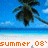 A beach scene with palm trees, blue sky, and white sand; the text 'summer 08' appears in orange pixelated letters.