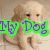 A four- shows a dog, red text on blue background, Garfield cartoon, and gray space with partial text
