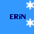 Blue background with four instances of the text ERiN in dark blue, surrounded by white snowflake icons in various positions.