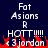 Pixelated text on dark blue background with red flame-like shapes beneath, showing 'Fat Asians R HOTT!!! (3jordan' in white and gray.