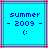 Two identical pixelated icons display 'summer - 2009 -' text and a smiley face on cyan backgrounds with borders