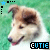 nine identical dog head images with 'CUTIE' text, each in a pixelated blue and black font on green grass background