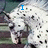 Animated icon of a spotted animal with blue text changing from 'I' to 'love' and 'Camp Cheritt' below.