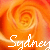 Pixelated orange rose with white text reading 'Sydney' at the bottom, static image.