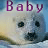 Pixelated image of a light-colored seal pup with dark eyes and nose, positioned below purple text reading 'Baby' against a blue sky background.