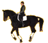 A rider on a black horse in motion, shown across with changing leg positions and head orientation against a gray background
