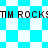 Pixelated blue and white checkered background with repeated brown text "TM ROCKS" across two horizontal bands.