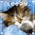 nine identical cat images with 'sleepy...' text above each, set against a blue background