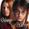 Two figures in maroon robes with gold trim, labeled 'Ginny' and 'Harry', appear against a white background with yellow-and-white square icons at top-right.