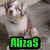 Four dog images arranged in a with green text overlays on each section