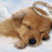 Pixelated image of a light brown dog lying down with eyes closed, head resting on white surface against blue sky background.