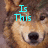 A four- shows a dog's face with cyan text overlays; the top-left reads 'Is This', top-right 'Really Emily Osment', and bottom-left three question marks