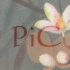 Four- of floral-themed icons with 'PiC' text overlay, each showing distinct color variations and background elements
