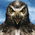 Pixelated close-up of a bird's head with large yellow eyes, a hooked beak, and brown feathers against a blue sky background.