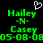 Green pixelated text on black background with white heart symbol above, showing two identical name pairs and dates.