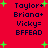 Red background with dark blue text listing names and a hexadecimal code, surrounded by green plus signs in two identical