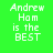 Four distinct color-blocked display the text 'Andrew Ham is the BEST' in pixelated white font against solid backgrounds