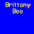 Yellow text 'Brittany Boo' on blue background with red pixel elements changing across frames.