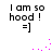 Pixelated text reads "I am so hood!" above a smiley face, with pink dots animating in arcs across the frame.