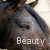 A horse's head with closed eyes appears in a of six , each displaying the word 'Beauty' below it