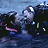 A 2x2 contact sheet of four animated frames from a buddy icon showing underwater scenes with sharks and text elements.
