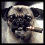 A four- shows a pixelated pug with varying expressions and poses, one displaying the text 'FRANK' in blocky letters