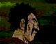 Dragon Ball Z character portraits with varied hair colors and styles, including spiky golden, green, purple, blue, red, and black hair