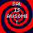 Four identical red and dark blue spiral patterns with white text reading "SAL IS AWSOME !" arranged in a