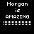 Four pixelated display "Morgan is AMAZING" text with exclamation marks on black, dark red, bright red, and deep red backgrounds