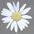 nine pixelated images including a daisy, hiker, kangaroo sign, clock tower, person with hat, Golden Gate Bridge, and street sign