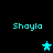 Four cyan 'Shayla' text labels and three cyan star icons arranged on a black background with varying positions.