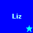 Four blue-toned display the name 'Liz' with a pixelated star icon in two positions, showing color variations between dark and light blue backgrounds