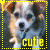 A small dog with brown and white fur appears in a of six , each showing the word 'cutie' below it