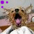 A pixelated image of a dog with its mouth open, showing teeth and tongue, against a light background with purple squares in the top-left corner.