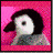 Animated penguin icon with pink background and text 'That is one SEXY penguin!' showing head turning motion.