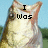 A pixelated fish head with a blue sky and green background, displaying text across four