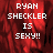 Pixelated text 'RYAN SHECKLER IS SEXY!!' in white on a red textured background with one gray