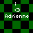 Green and black checkered background with pixelated text 'Adrienne' and 'i <3' in white, two variations of the same design displayed side-by-side.