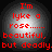 Four identical circular display red text on a gray gradient background with black borders