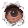 Three torn paper holes reveal a human eye and closed eyelid in sequential animation frames.