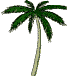 Nine identical palm tree icons arranged in a on light gray background, each with green fronds and pale trunk