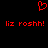 Red pixelated heart symbol above two identical lines of red text reading 'liz roshh!' on a black background.