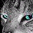A pixelated contact sheet showing a cat's face on the left and text reading "I've got my eye on you" on the right, with visible dithering and grayscale tones in the image portion.