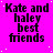 A static image with a bright pink background displaying repeated text "Kate and haley best friends" in black pixelated font across multiple