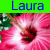 A static image with a bright green top section displaying the text 'Laura' in blue pixelated letters above a pink flower with visible stamens and petals.