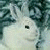 Static image of a pixelated rabbit with gray and white fur on the left, next to green text reading 'Original Icons .com' on a dark green background.