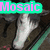 A four- of a dog's face with text overlays; each shows the dog in a different pose with distinct text labels